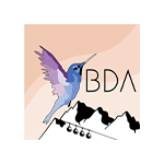 BDA